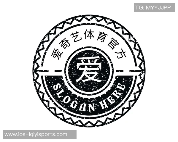 2014年世界杯足球赛门票价格分析及其对观赛体验的影响